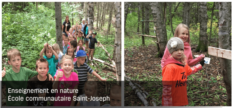 Enseignement en nature Image 1