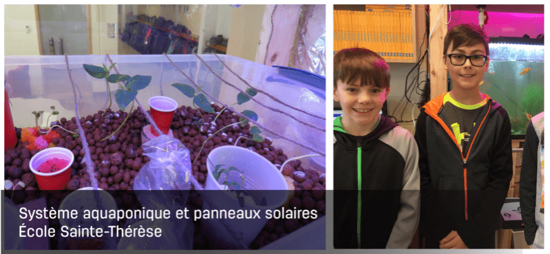 Système aquaponique et panneaux solaires Image 1