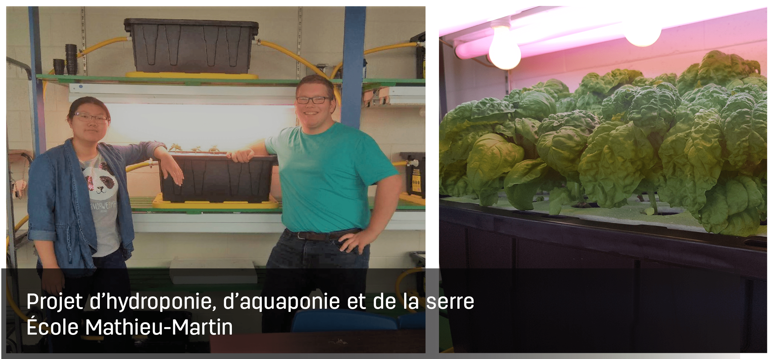 Projet d’hydroponie, d’aquaponie et de la serre Image 1