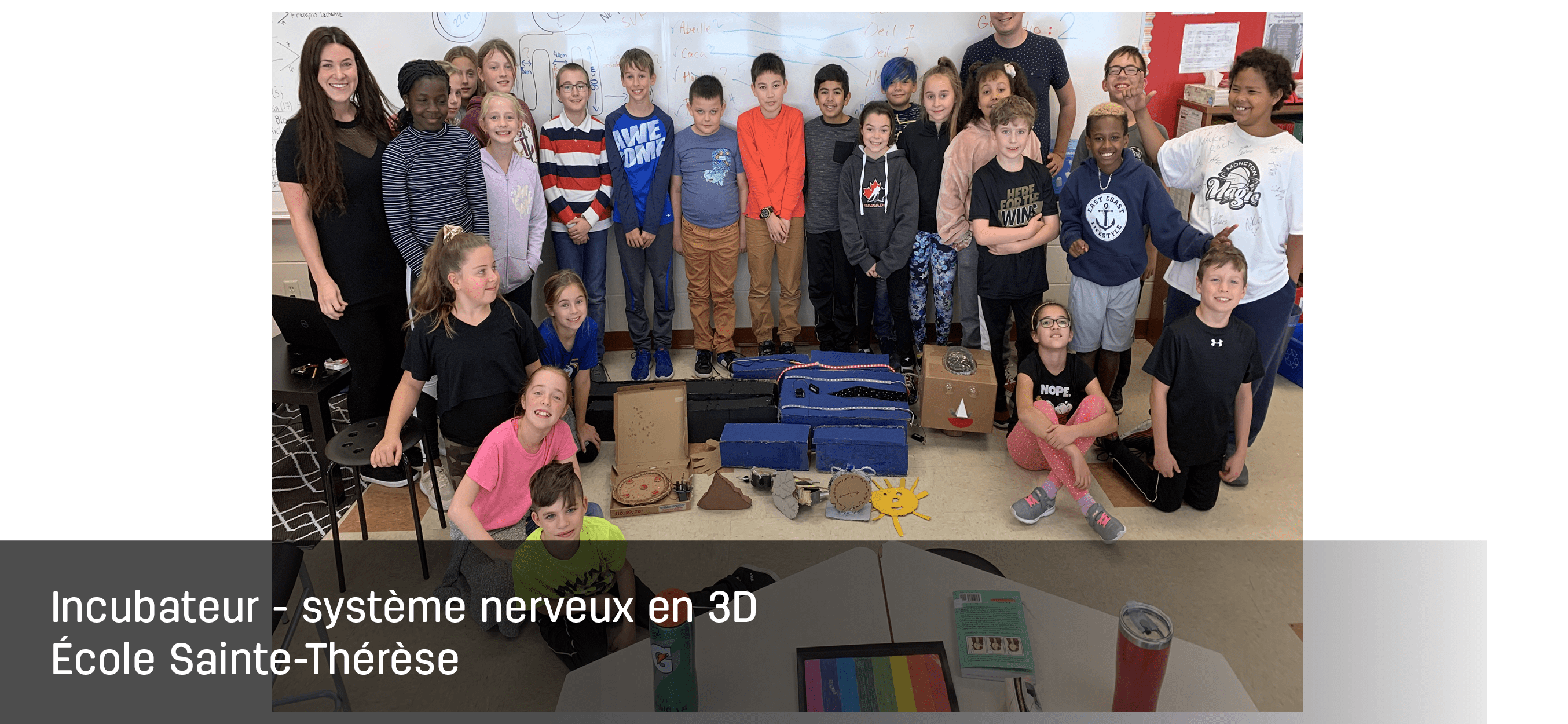 Incubateur - système nerveux en 3D Image 1