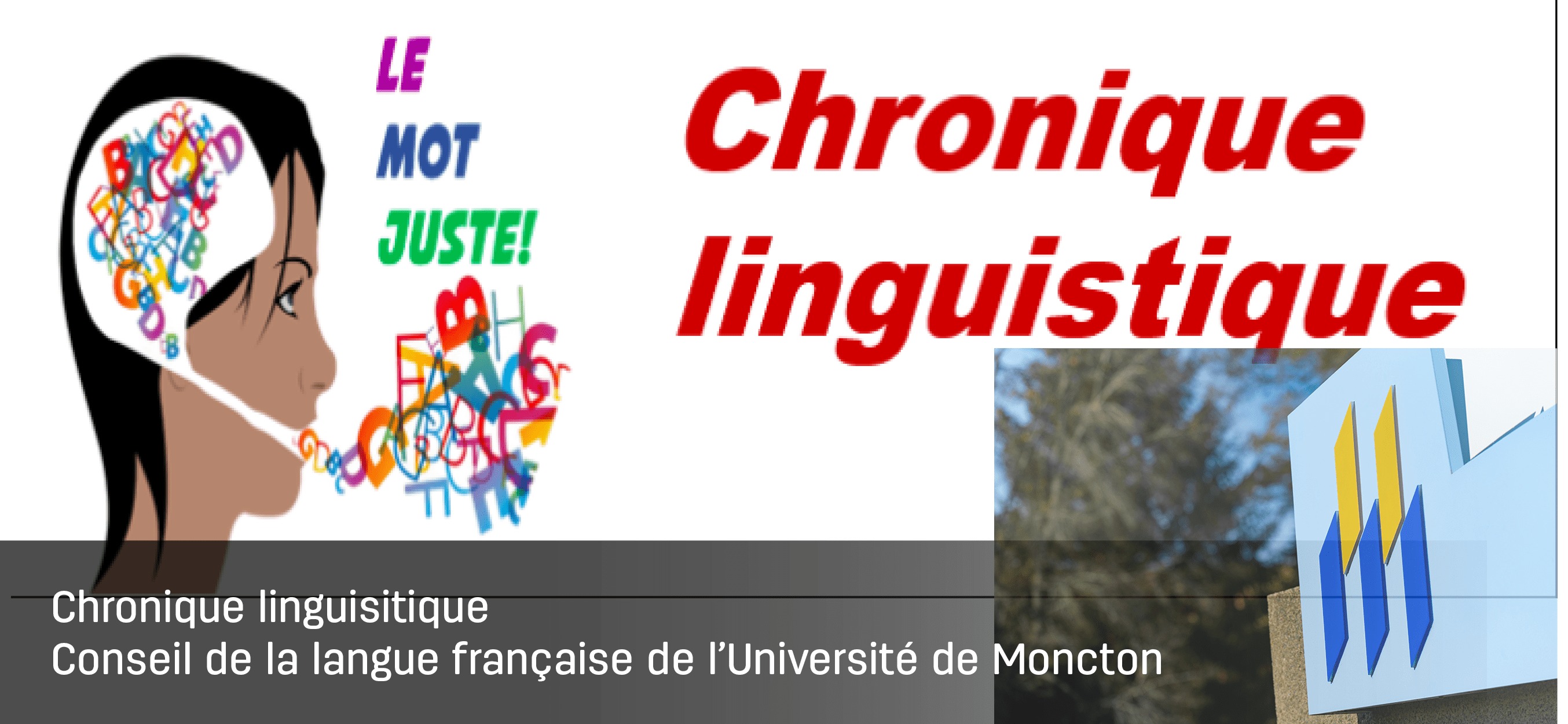 Chronique linguisitique Image 1